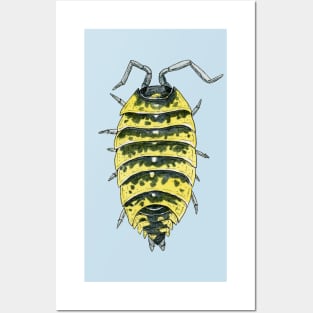 Porcellio ornatus Isopod, high yellow Posters and Art